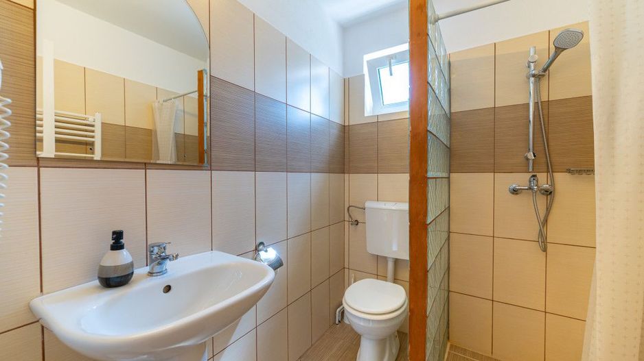 Casa + Pensiune deosebita - Orlat, Sibiu - Poză 30