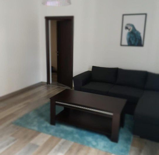 Inchiriere - Apartament 2 camere in zona Victoriei-Strada Sevastopol-550EUR - Poză 3