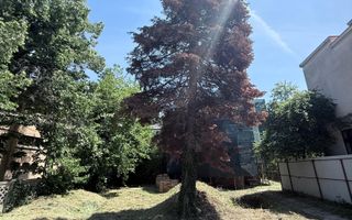 Teren cu constructie - Aviatorilor | Dorobanti capitale - Poză 4