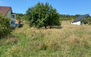 Teren intravilan 1300 mp-parcelabil-Viile cu Pomi-Unirea-Exclusiv - Poză 6