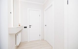 Vânzare, apartament, 1 cameră, strada Băcioii Noi, Botanica - Poză 10