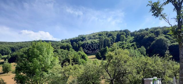 Teren 2.7ha- pretabil cabana/casa-Rebrisoara-EXCLUSIVITATE - Poză 2