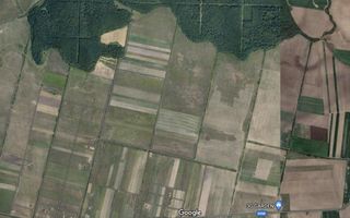 TEREN MOSNITA VECHE-pt investiție - Poză 1