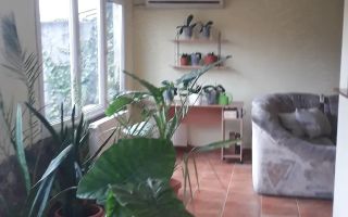 Casă individala cu etaj, având 2 apartamente separate în Timișoara - Poză 1