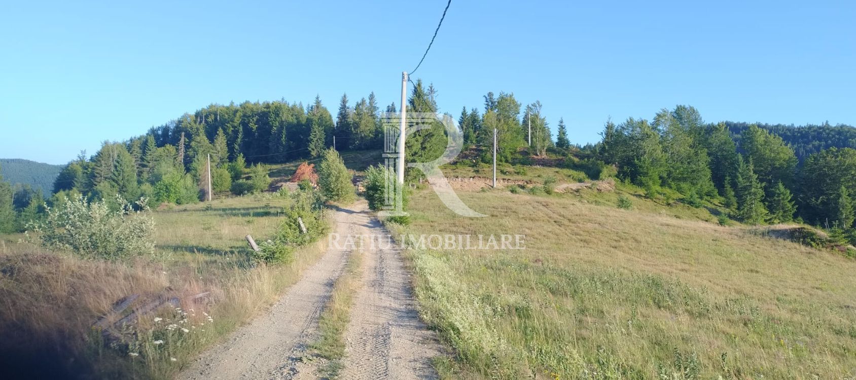 Teren Intravilan | 3.000 mp | Gârda de Sus | Alba | - Poză 3