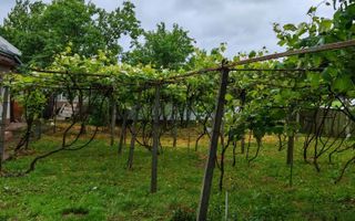 Casă bătrânească locuibilă. - Poză 3