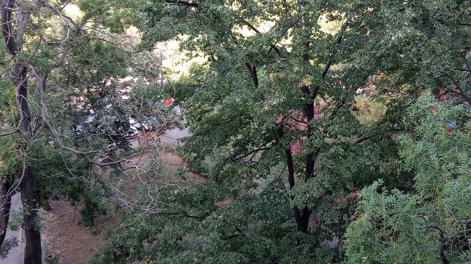 Apartament Campia Libertatii IOR - Poză 6