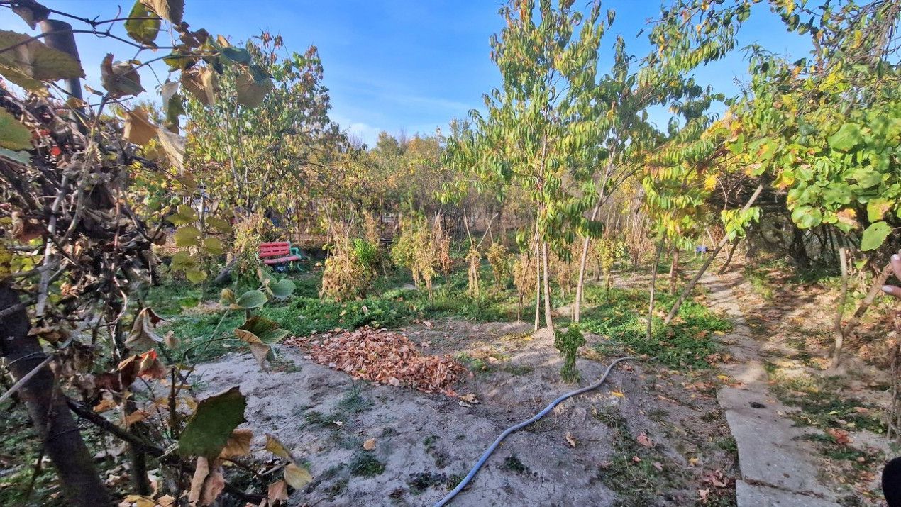 Vanzare casa cu teren 1800 mp, Pitesti str Bananai, la intrare - Poză 21