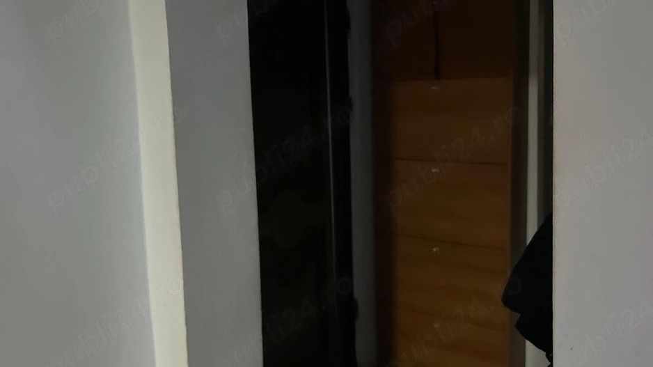 Vanzare apartament 2 camere, bloc 1983, Titan -Camil Ressu, 3 minute metrou - Poză 1