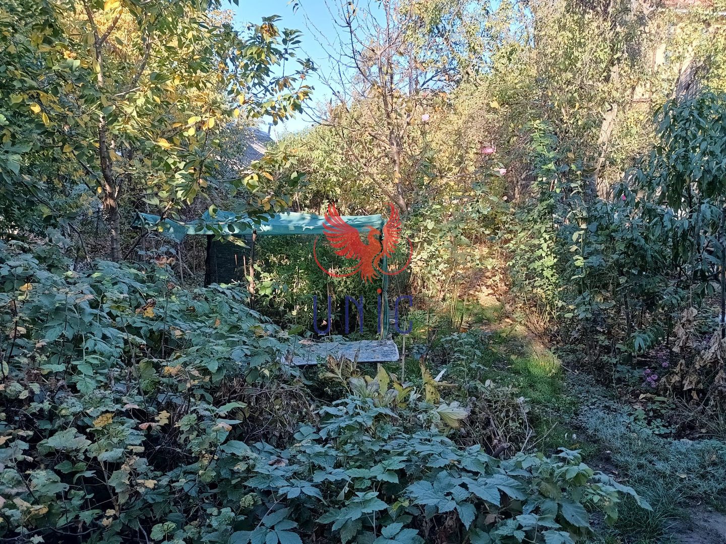 Oportunitate  teren intravilan, zona Sydney - Poză 1