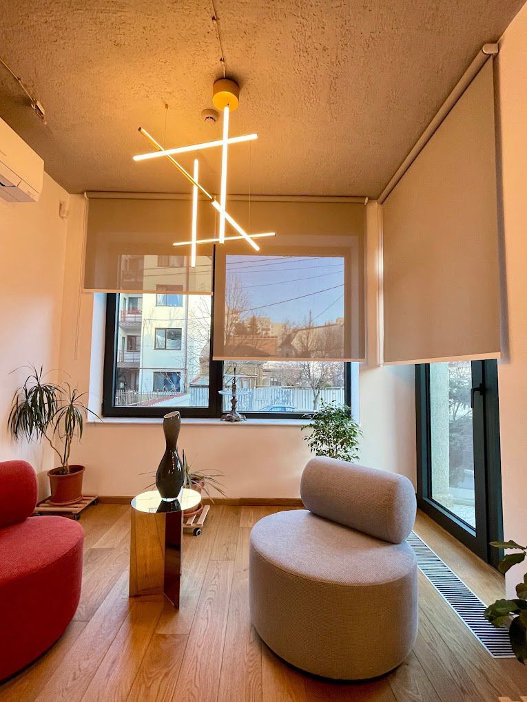 Spatiu Comercial / Nicolae Titulescu / Bulevardul Banu Manta / Victoriei Nou - Poză 5