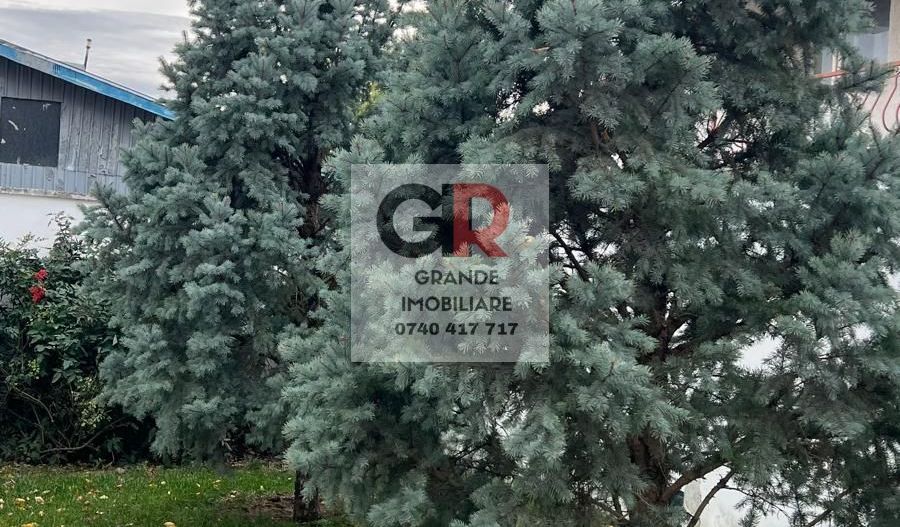 Spațiu de birouri de închiriat în Sud-Vest, Tulcea - Poză 14