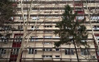 Decomandat Disponibil Brancoveanu Luica Turnu Magurele - Poză 9