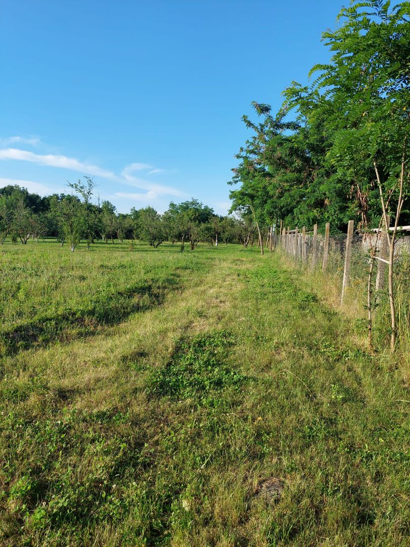 Vanzare casa deosebita, Suseni, Arges - Poză 8
