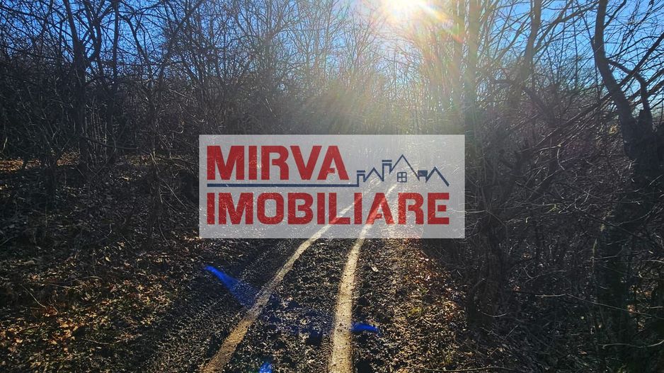 Teren intravilan 1.000 mp – Seciu, 2 deschideri, Priveliște panoramica - Poză 15