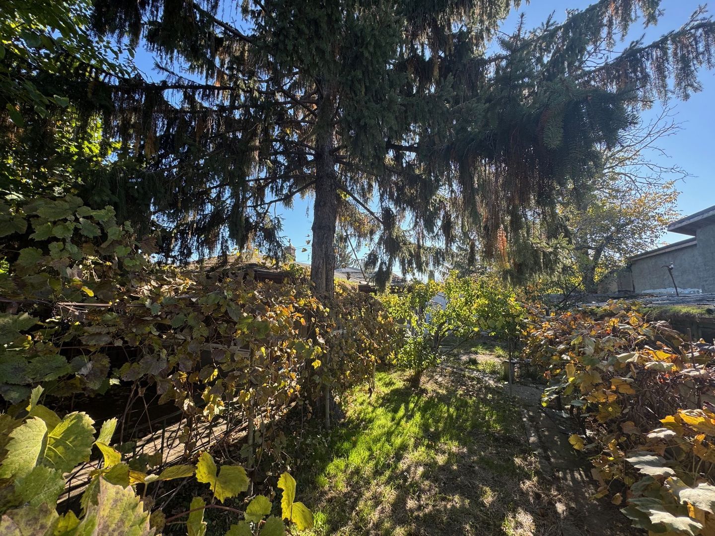 Teren Intravilan Sisesti 308m2, 0% COMISION - Poză 3