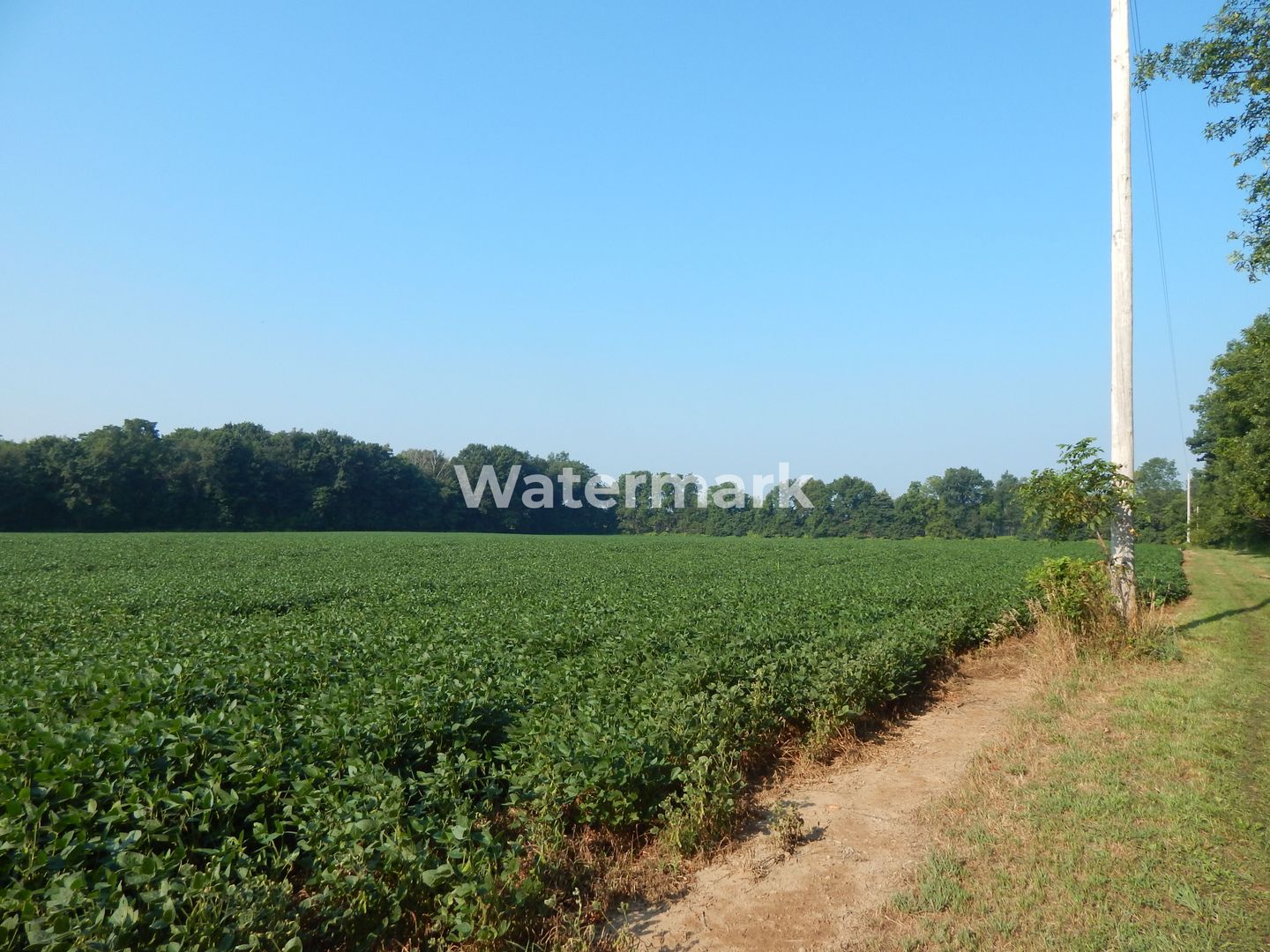 Teren cu PUZ de vanzare in Grigorescu - Poză 2