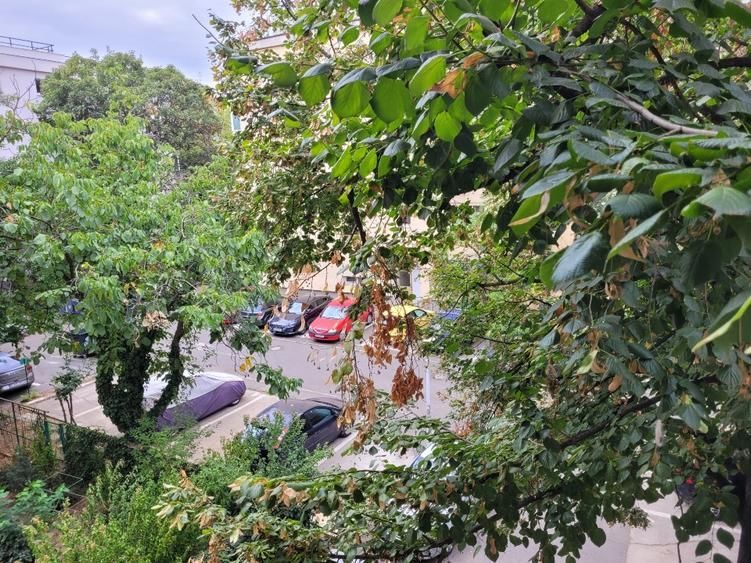 2 camere – metrou Gorjului la 3 minute, bloc P+4, mobilat complet - Poză 4