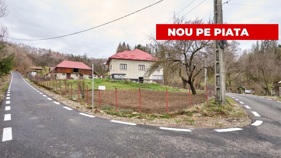  Casa  la munte cu teren generos in Com. Nucsoara, loc. Slatina jud. Arges! - Poză 9