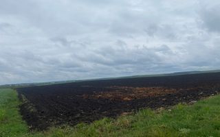 Teren Extravilan | Dornesti | 14.100 Mp - Poză 2