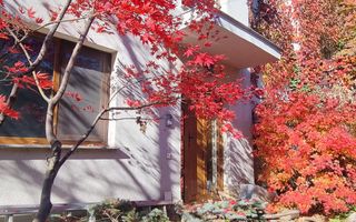 De inchiriat! Casă deosebita in Gruia, panorama spectaculoasa! - Poză 1