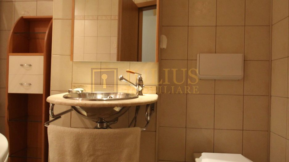 3 dormitoare , central , vedere panoramica parcul Botanic - Poză 16