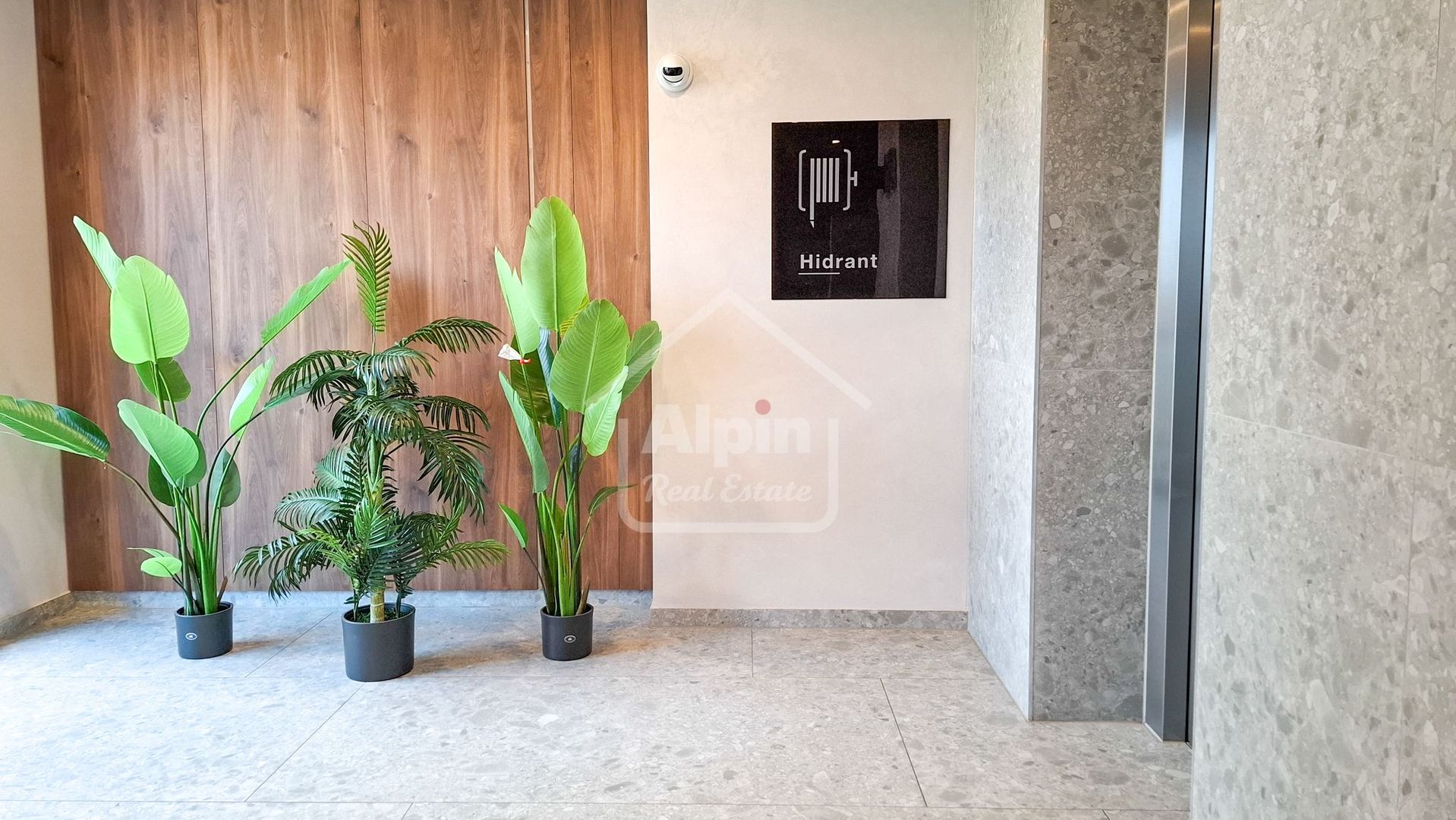 Locatie Premium I Blumana - Poză 13