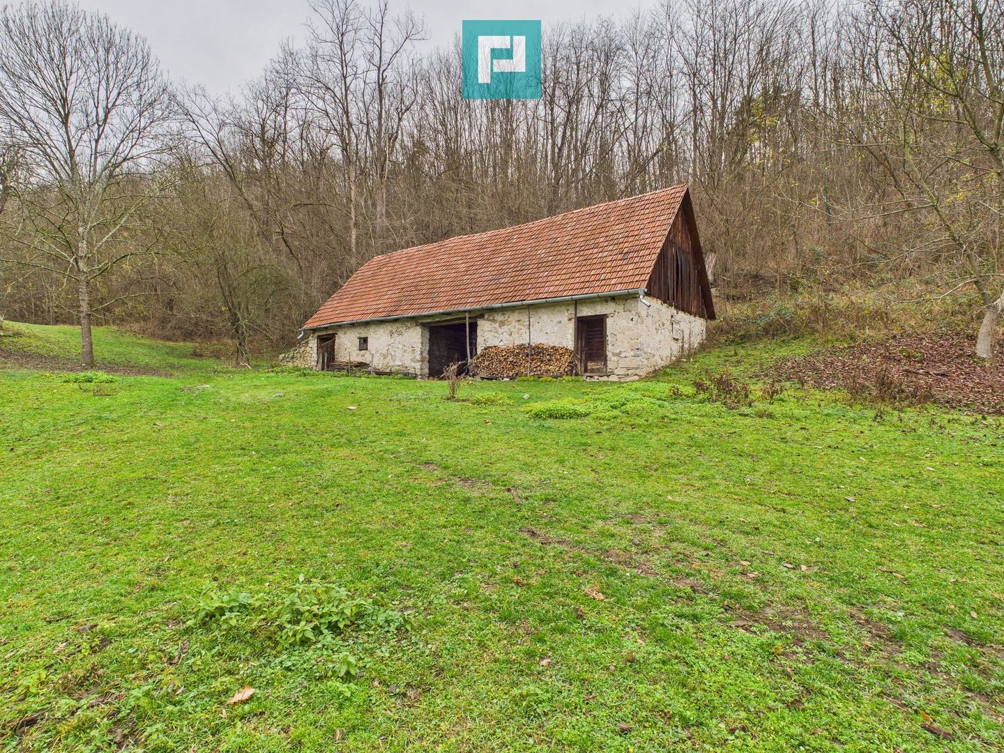 Casă cu teren de 24.679,73 mp, în Hălmagiu, Arad - Poză 13