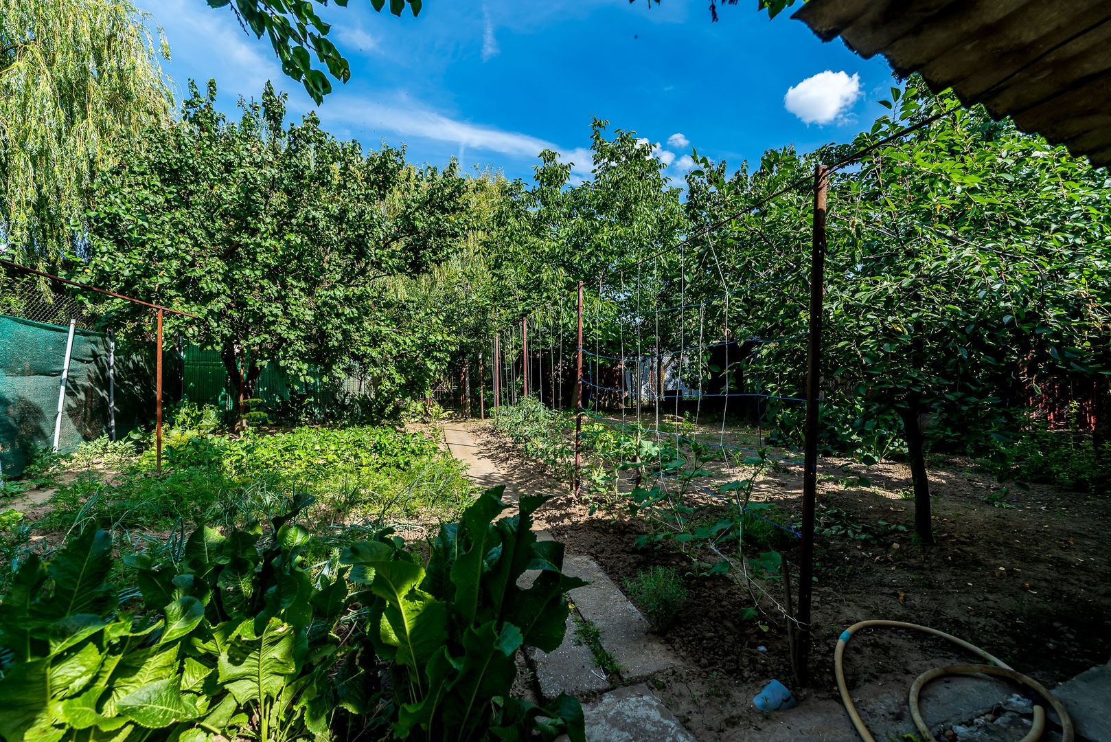 Casa 3 camere, bucatarie si baie, in zona centrala din Chisineu-Cris - Poză 8