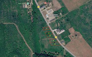 Parcele teren intravilan Paleu - Poză 9