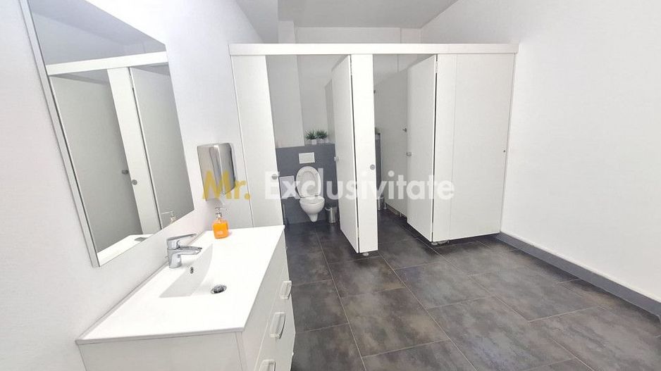 Spatiu Comercial Multifunctional Banat-CLASA A - Poză 12
