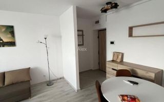 Apartament 2 camere in Complex Hills - Theodor Pallady - Poză 4