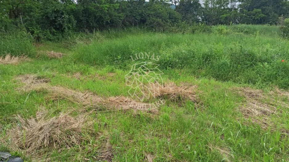 Teren intravilan la DN17 2500 mp-utilitati-Crainimat - Poză 4