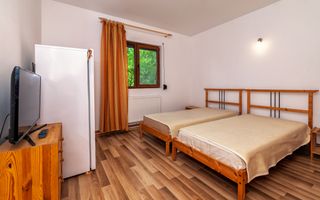 Casa moderna si casa bunicii + 6300 mp teren,Oaza autentica in Corbi Arges- - Poză 14