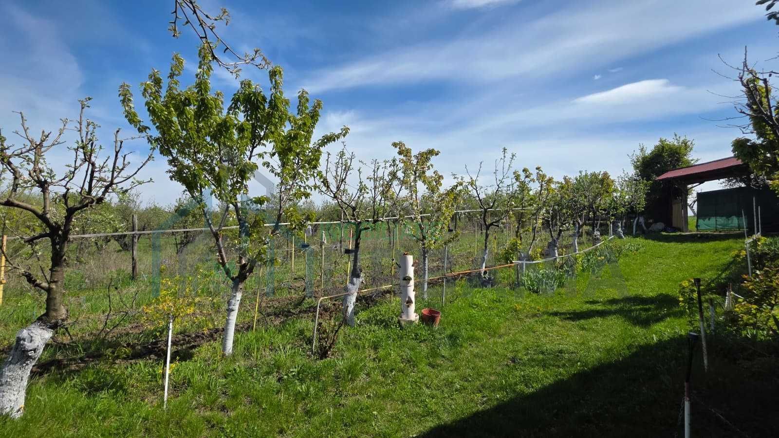 Teren intravilan 1500 mp, Tomesti – Chicerea, 10 km de Iasi, utilitati la limita - Poză 4