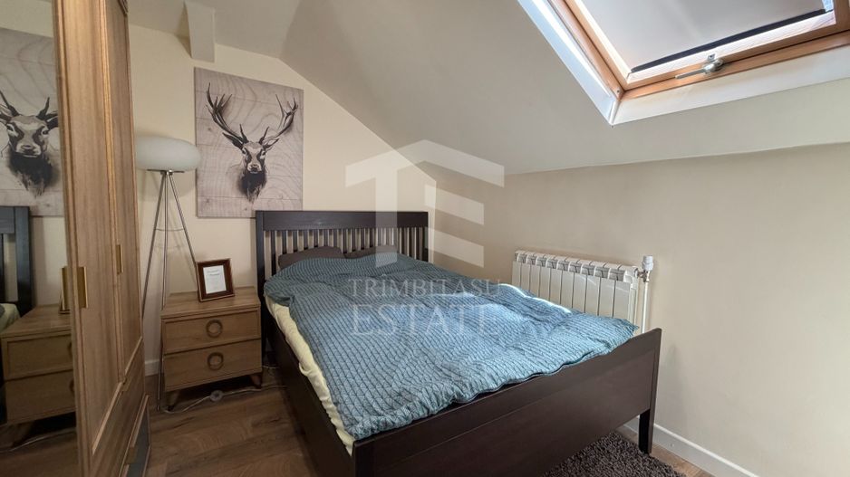 PARCUL CAROL - Viilor | Chirie Casa 2 Camere - Poză 10
