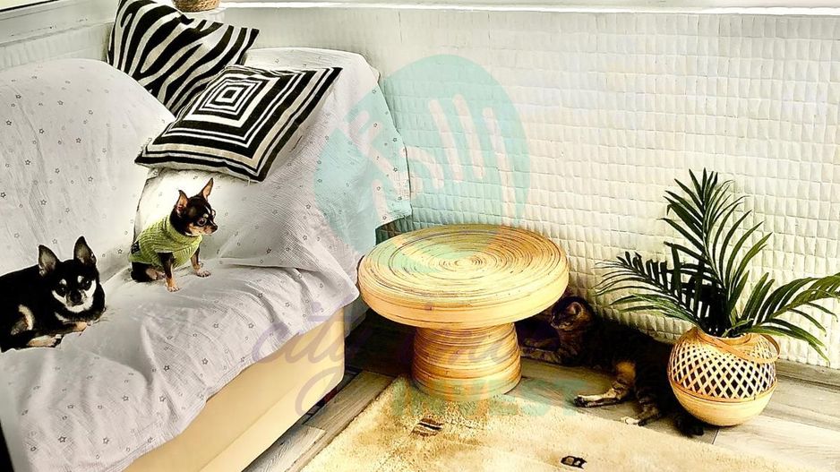 Apartament cu 3 camere renovat si cu parcare - Poză 8