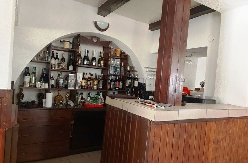 De vanzare casa si spatiu de restaurant in Tarian - Poză 3