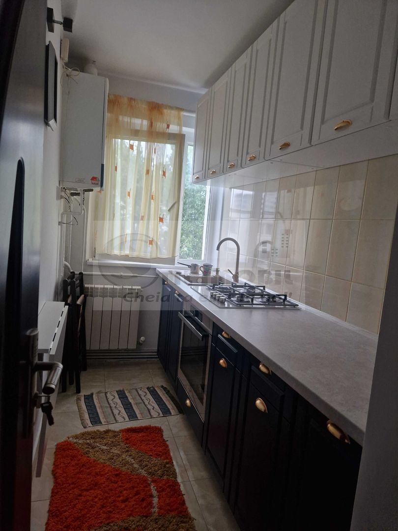 Apartament 2 Camere – Alexandru cel Bun, Piața Voievozilor- 420 E - Poză 6