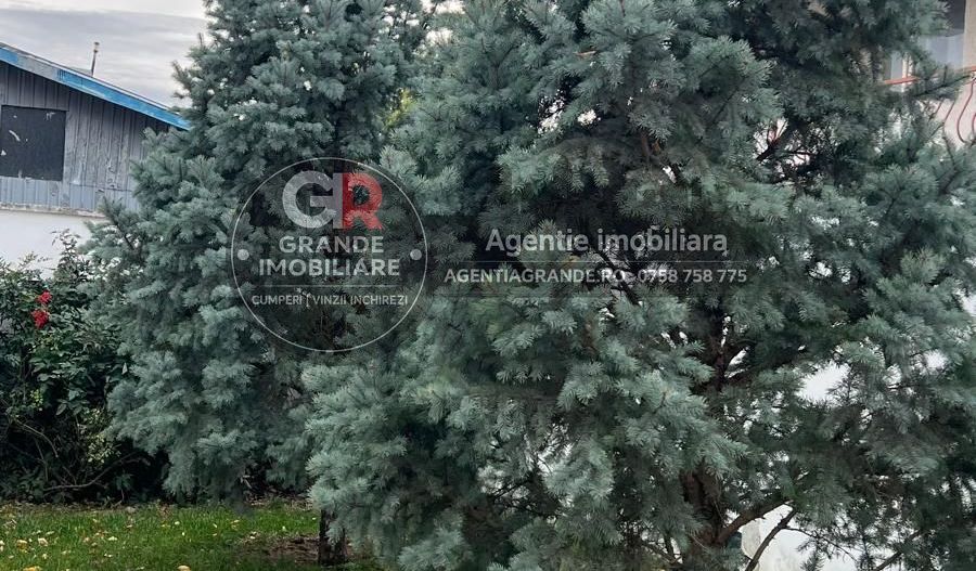 Spațiu de birouri de închiriat în Sud-Vest, Tulcea - Poză 14