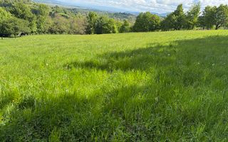 Teren Bran Sohodol 6700 mp - Poză 3