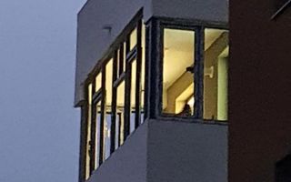 Apartament 3 camere Latin - Poză 4