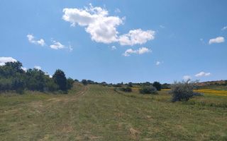 Teren de vânzare, Breazu, Iași – 6.500 mp - Poză 2