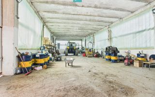 Complex industrial cu hale și teren  în Orțișoara - Poză 13