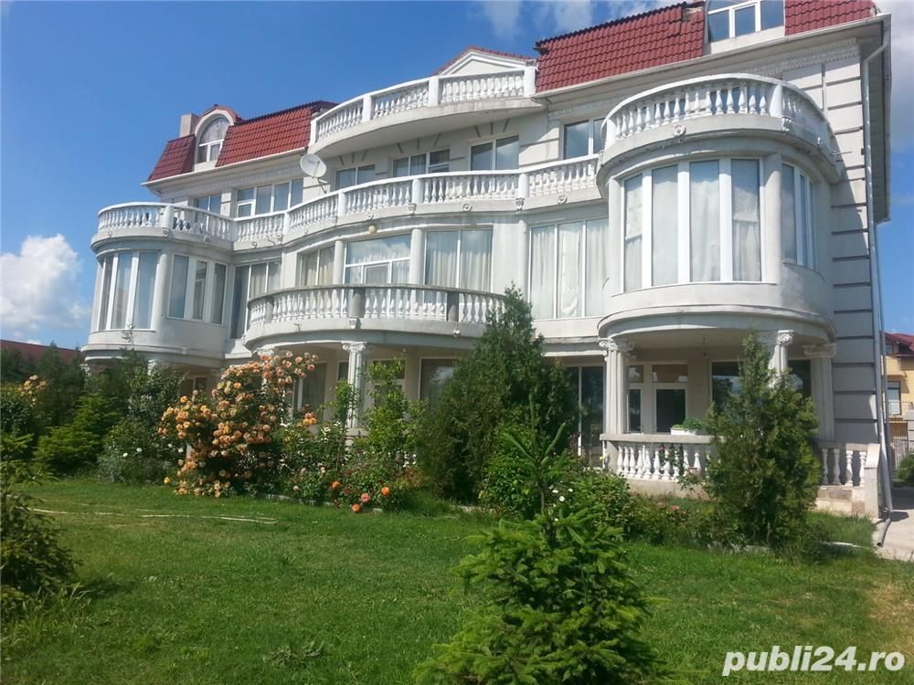 Vila impozanta Iancu Nicolae - Poză 1