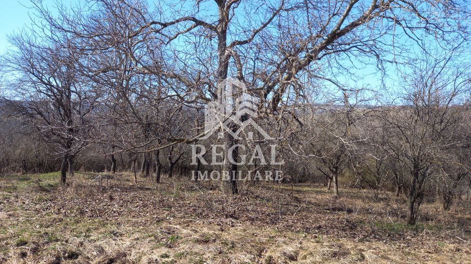 Două case de vânzare – Cerisor – teren generos 6996 mp - Poză 16