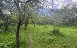 TEREN INTRAVILAN 7018 MP CAMPULUNG - Poză 18