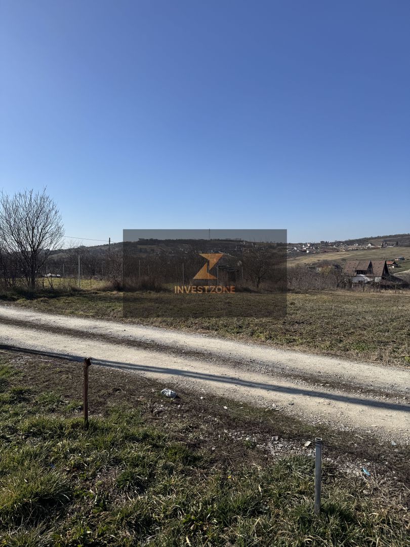 Teren intravilan Săldăbagiu De Munte - Poză 3
