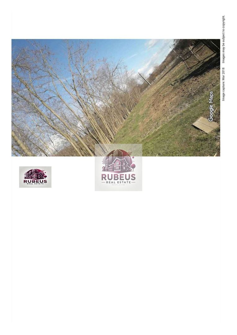 Oportunitate rară! 1 ha pădure Corcova – teren cu potențial real - Poză 3