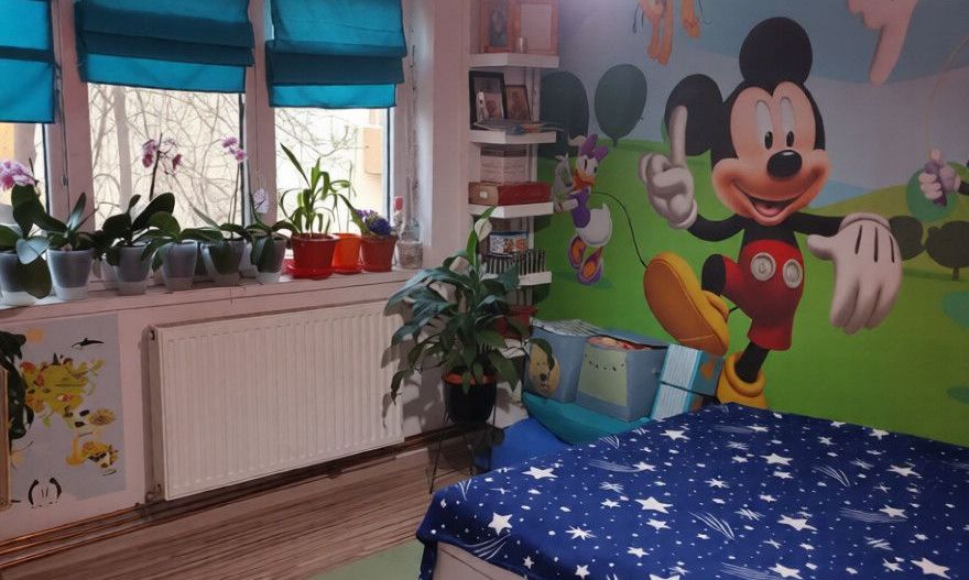 Apartament 2 camere decomandat-Lapus Arges - Poză 2